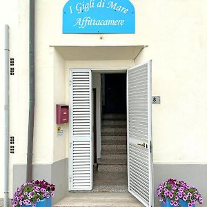 Affittacamere I Gigli di Mare